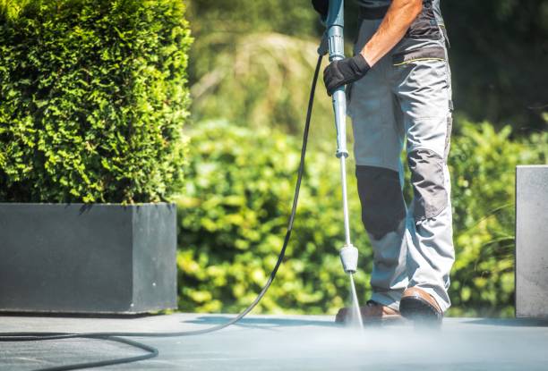 Best Graffiti Removal Services in Fallon, NV
