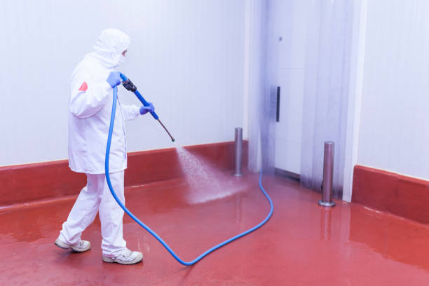 Best Parking Lot Cleaning in Fallon, NV