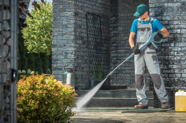 Best Soft Washing for Delicate Surfaces in Fallon, NV